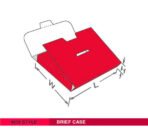 Brief Case