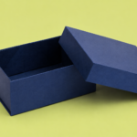 Presentation Boxe